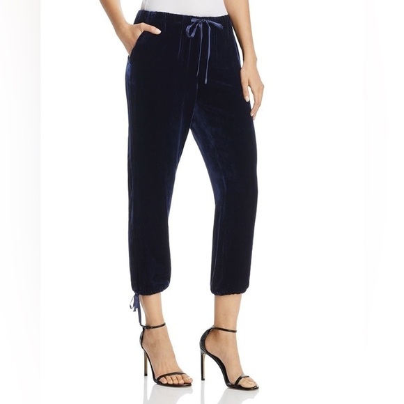 JOIE-DYRE Velvet Drawstring Jogger Pants (Size:Large) - Picture 1 of 11